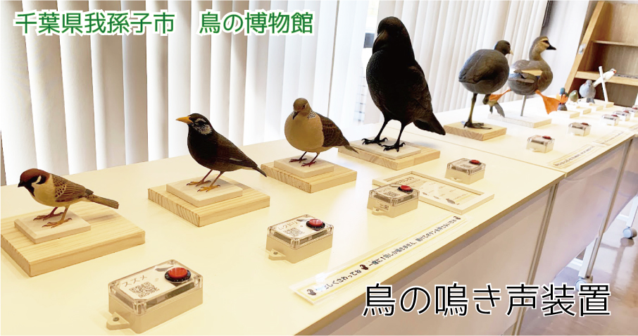 鳥博音声装置