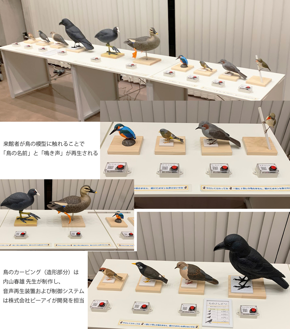 鳥博音声装置